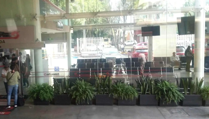 Primera Plus -  Comentarios - Coyoacán, Ciudad de México