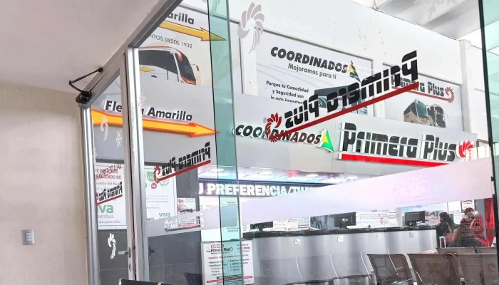 Primera Plus -  Opiniones - San Miguel de Allende