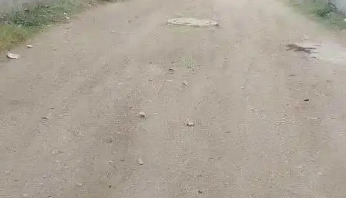 Privada los aguacatales - San Francisco Telixtlahuaca