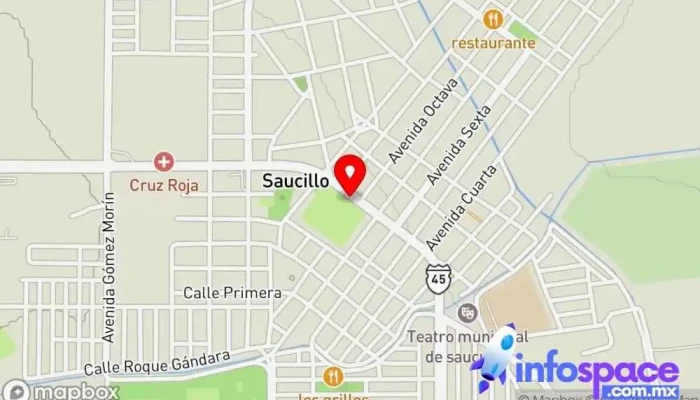 mapa de Prontísimo / Paquetería Rápidos Delicias Servicio de mensajería en Saucillo