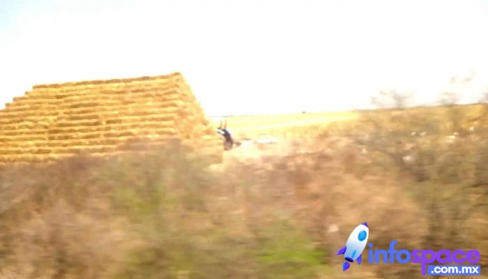 Pueblos Unidos -  Videos - Pueblos Unidos