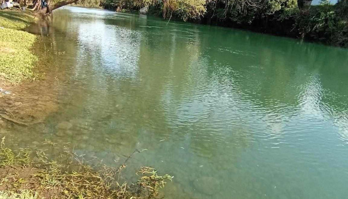 Puente Axtla de Terrazas Slp - Olivos