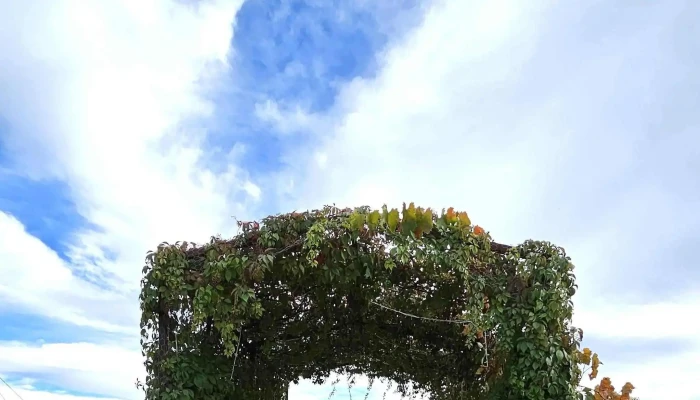 Puerta Al Cielo -  Videos - Sinaloa