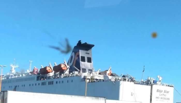 Puerto De Mazatlan -  Horario - Mazatlán