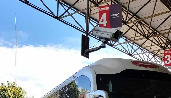 Pullman De Morelos -    La Selva Cerca De Mi - Cuernavaca