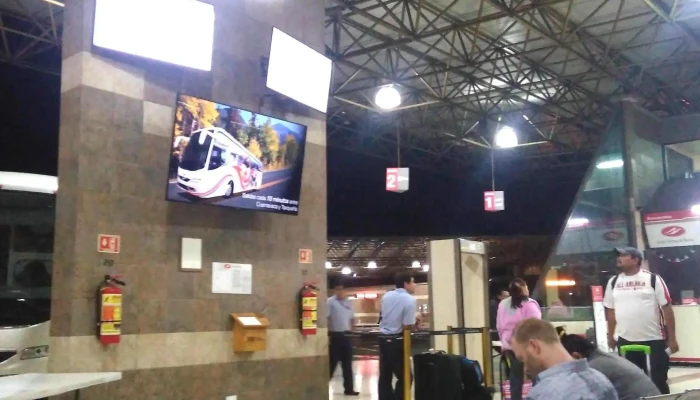 Pullman De Morelos -    La Selva Ubicacion - Cuernavaca