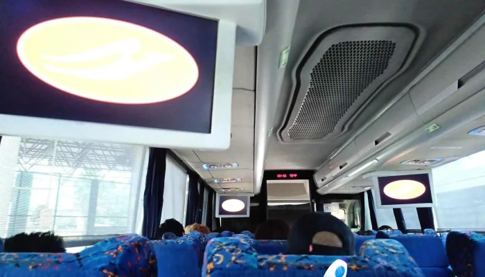 Pullman De Morelos Casino De La Selva -  Mas Recientes - Cuernavaca
