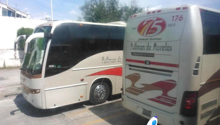 Pullman De Morelos Cuautla -  Automovil - Cuautla