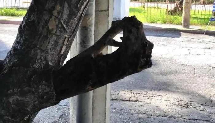 Pullman De Morelos Terminal Xochitepec -  Videos - Xochitepec