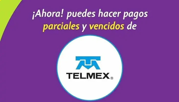 Punto Yastas En Mundo Informatico Del Propietario - Ayotzintepec