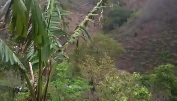 Quinicuena Zenzontepec -  Videos - Santa Cruz Zenzontepec