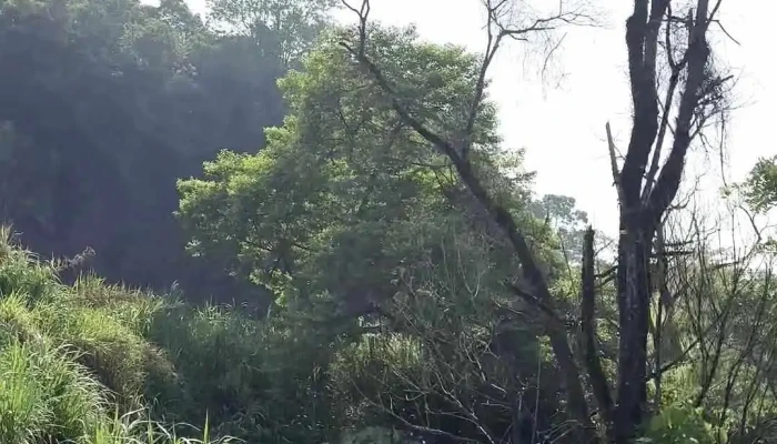 Rancho Grande -  Videos - San Juan Bautista Valle Nacional