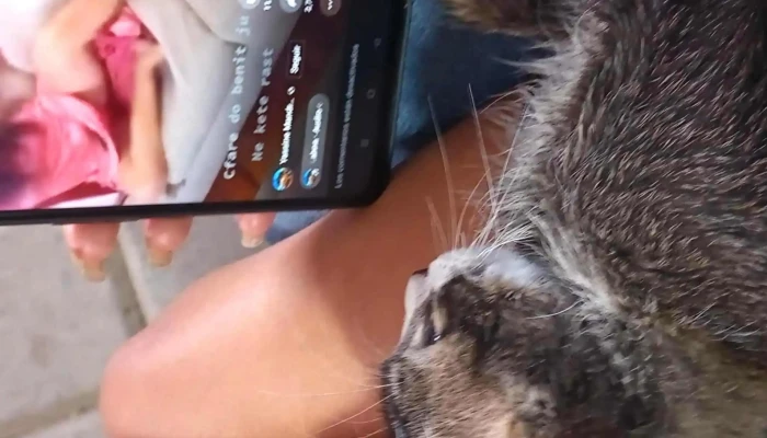 Rapidos Del Valle De Nochixtlan Instagram - Oaxaca de Juárez