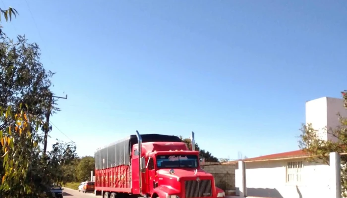 Refacciones diesel La Terminal - Progreso Industrial