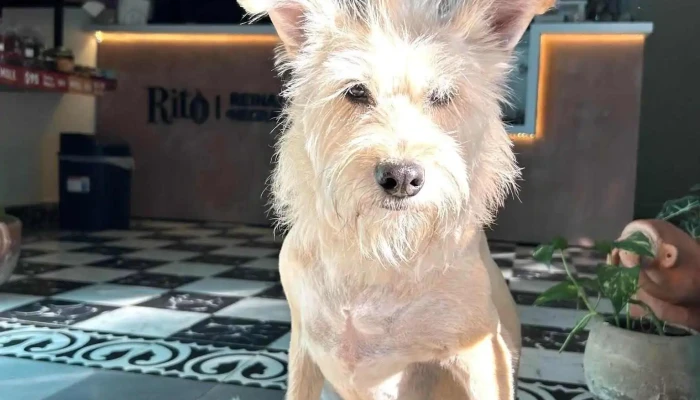 Rito Chocolateria Del Propietario - Oaxaca de Juárez