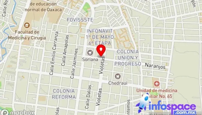 mapa de Routers de Recursos Integrados, S.C Oficinas de empresa en Oaxaca de Juárez