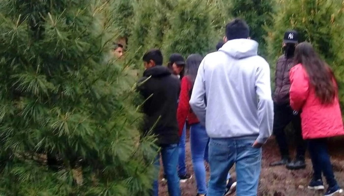 San Andres Paxtlan Direccion - Miahuatlán de Porfirio Díaz