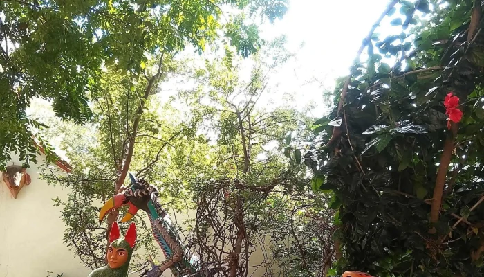 San Antonio Arrazola -  Abierto Ahora - Arrazola