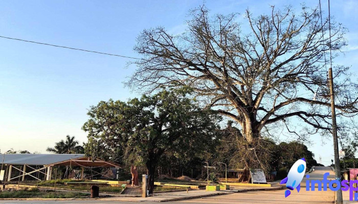 San Benito El Encinal -  De Los Visitantes - Loma Bonita