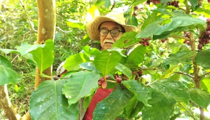 San Francisco Coatlan Descuentos - San Francisco Coatlán