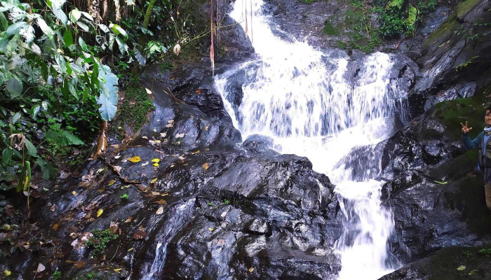 San Francisco Yovego -  Abierto Ahora - Oaxaca