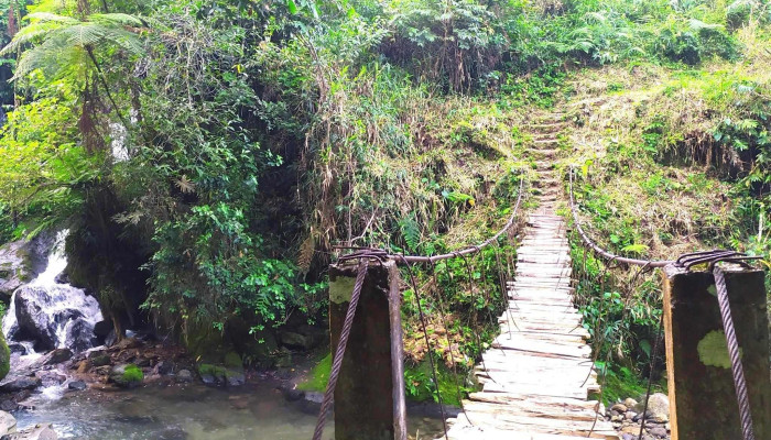 San Francisco Yovego -  Oaxaca - Oaxaca