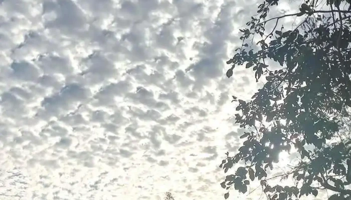 San Isidro Apango Pochutla Oaxaca -  Instagram - San Isidro Apango