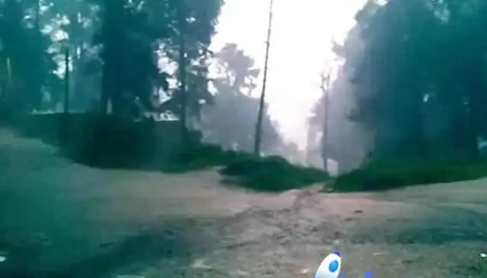 San Jose Tejamanil Videos - Estado de México