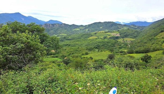 San Juan Bautista Jayacatlán - San Juan Bautista Jayacatlán