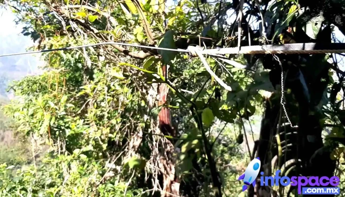 San Juan Metaltepec Mixe Oaxaca -  Videos - Santiago Zacatepec