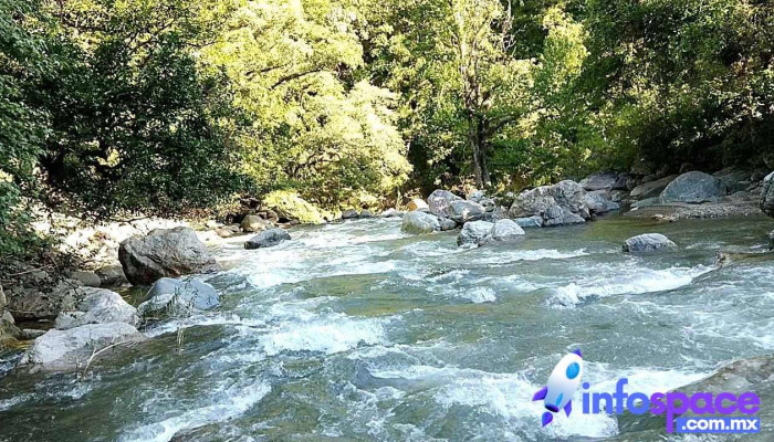 San Juan Quiotepec -  Videos - San Juan Quiotepec