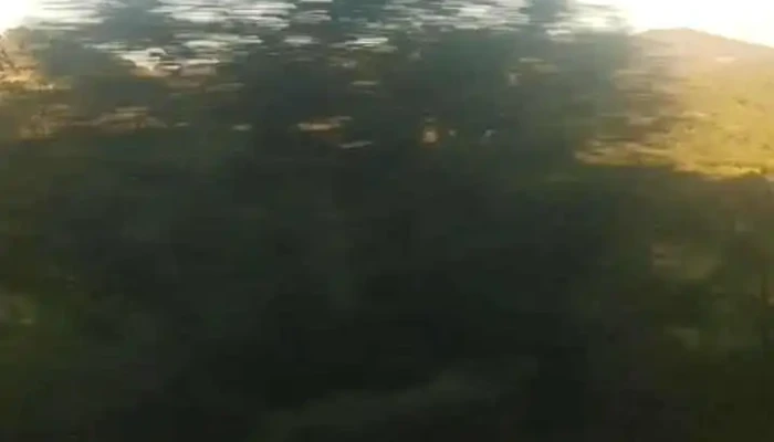San Juanito -  Videos - San Juanito