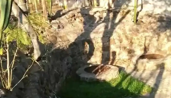 San Martin Tilcajete Videos - San Martín Tilcajete