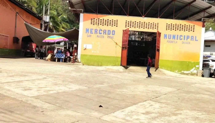 San Mateo Pinas Pochutla Telefono - San Mateo Piñas