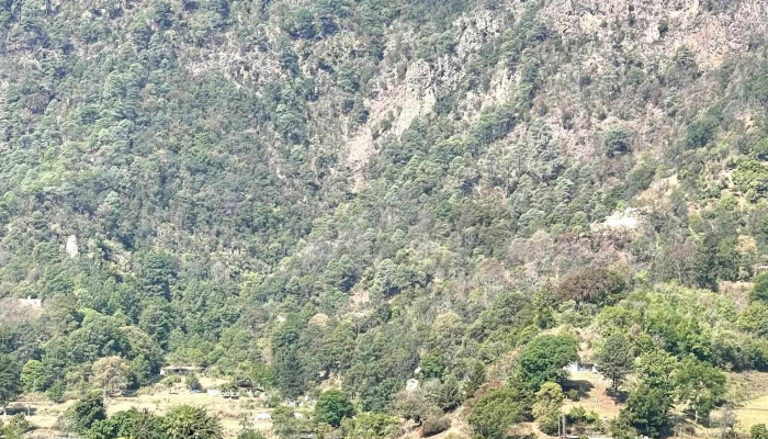 San Miguel -  Comentarios - Texcaltitlán