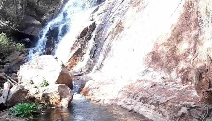 San Miguel Peras -  Videos - San Miguel Peras