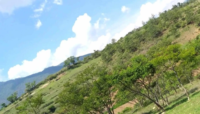 San Pedro Martir Quiechapa -  Fotos - San Pedro Mártir Quiechapa