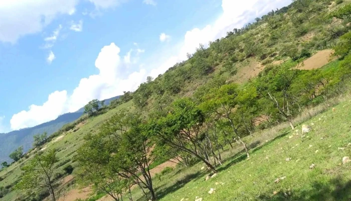 San Pedro Martir Quiechapa -  San Pedro Martir Quiechapa - - San Pedro Mártir Quiechapa