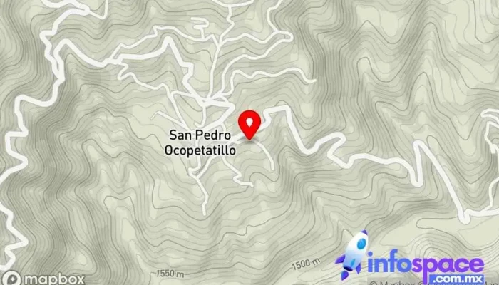 mapa de San Pedro Ocopetatillo  en Oaxaca