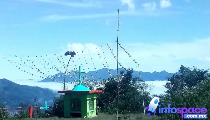 San Pedro Ocopetatillo -  Montana - Oaxaca