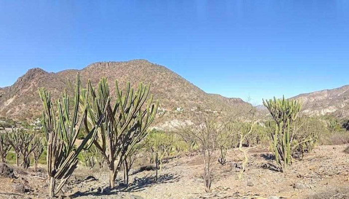 San Pedro Totolapam Sitio Web - San Pedro Totolápam
