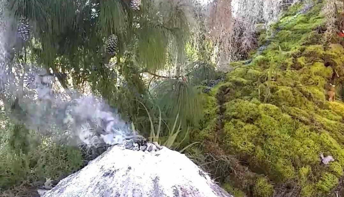 San Sebastian Tecomaxtlahuaca Videos - San Sebastián Tecomaxtlahuaca