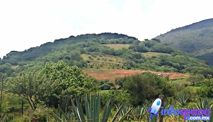 San Vicente Coatlan Precios - San Vicente Coatlán