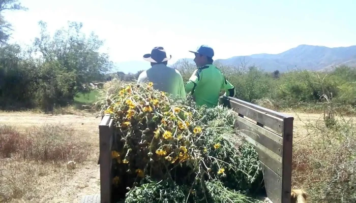 Santa Ana Tlapacoyan -  Como Llegar - Santa Ana Tlapacoyan