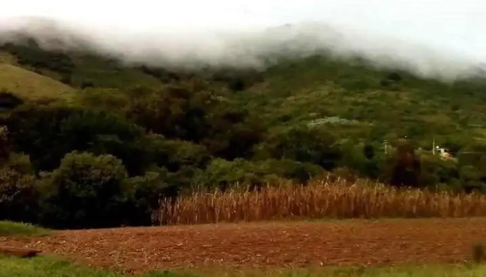 Santa Ana Tlapacoyan -  Videos - Santa Ana Tlapacoyan