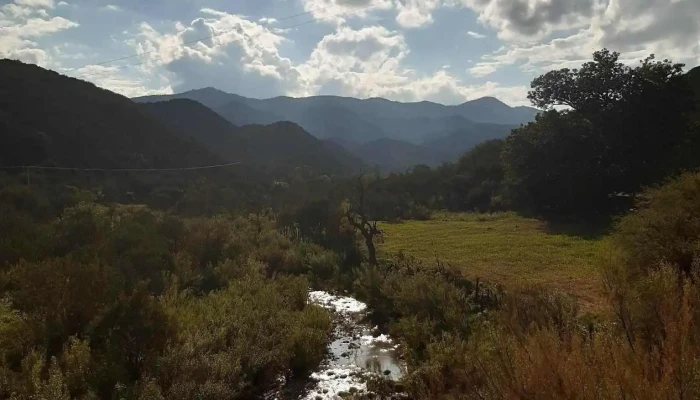 Santa Barbara Instagram - Chihuahua