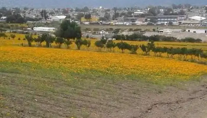 Santa Cruz Nundaco - Oaxaca