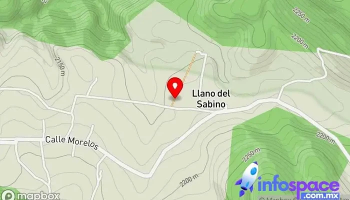 mapa de SANTA MARIA APAZCO NOCHIXTLAN OAXACA Ayuntamiento en Santa María Apazco