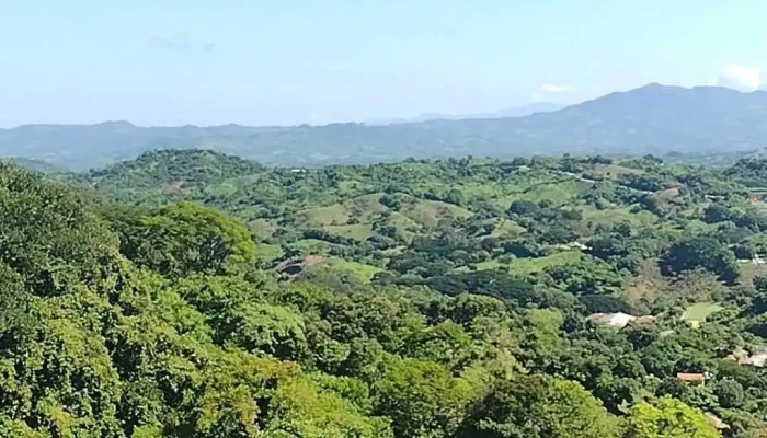 Santa Maria Huazolotitlan Zona - Oaxaca