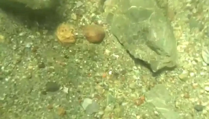 Santa Maria Jacatepec Videos - Santa María Jacatepec